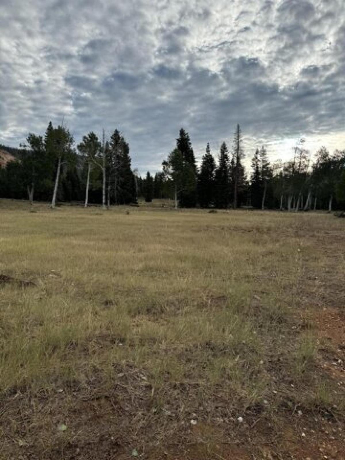 Picture of Residential Land For Sale in Duck Creek Village, Utah, United States