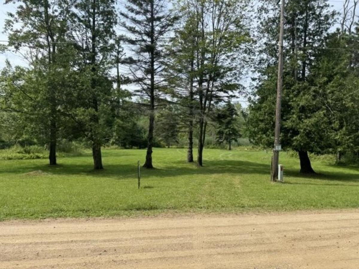 Picture of Residential Land For Sale in Harbor Beach, Michigan, United States