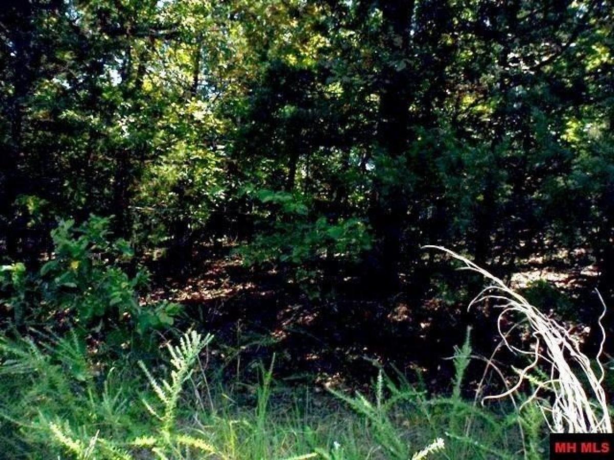 Picture of Residential Land For Sale in Bull Shoals, Arkansas, United States