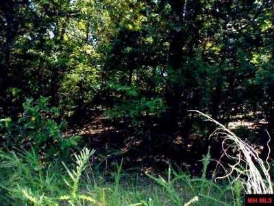 Residential Land For Sale in Bull Shoals, Arkansas