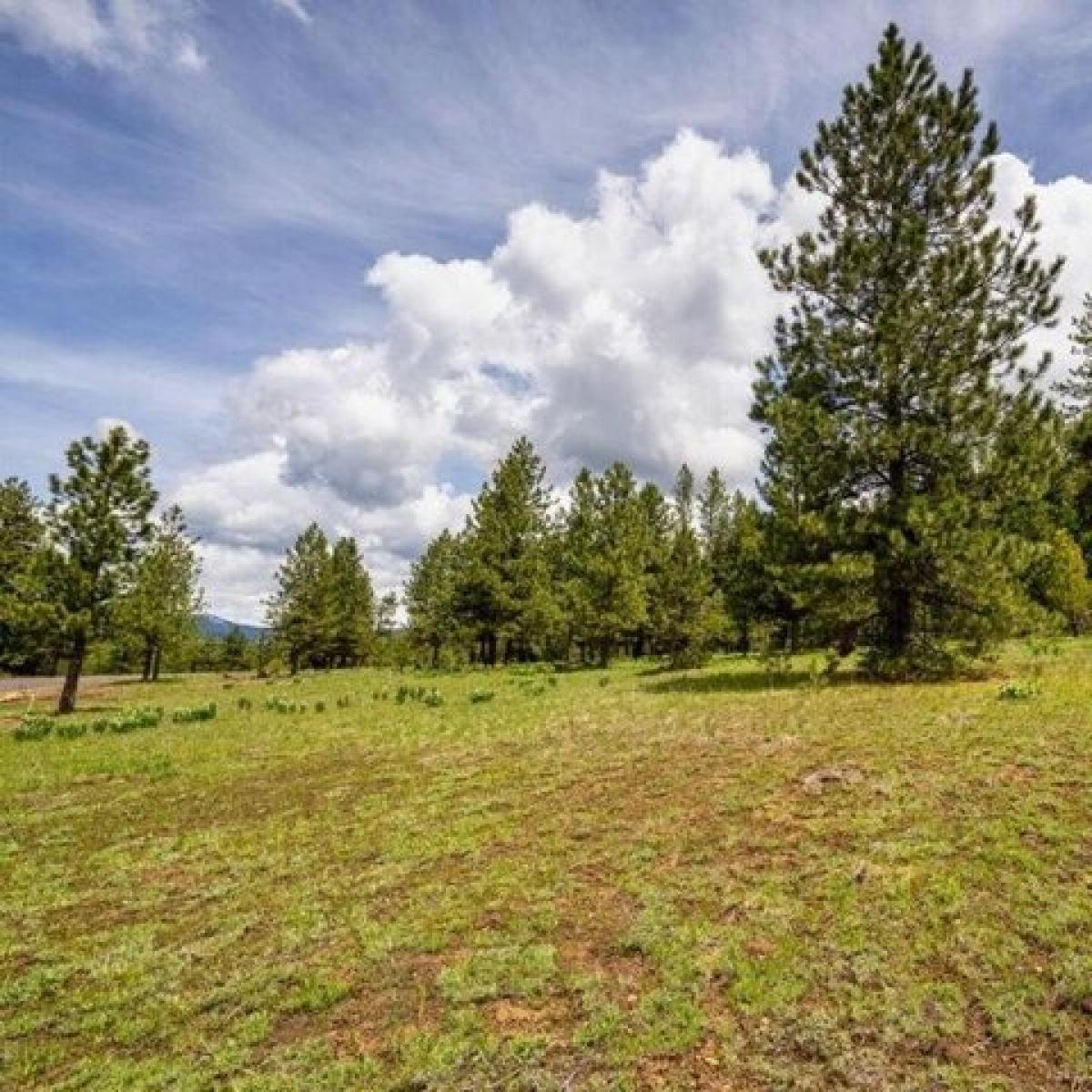 Picture of Residential Land For Sale in McCall, Idaho, United States