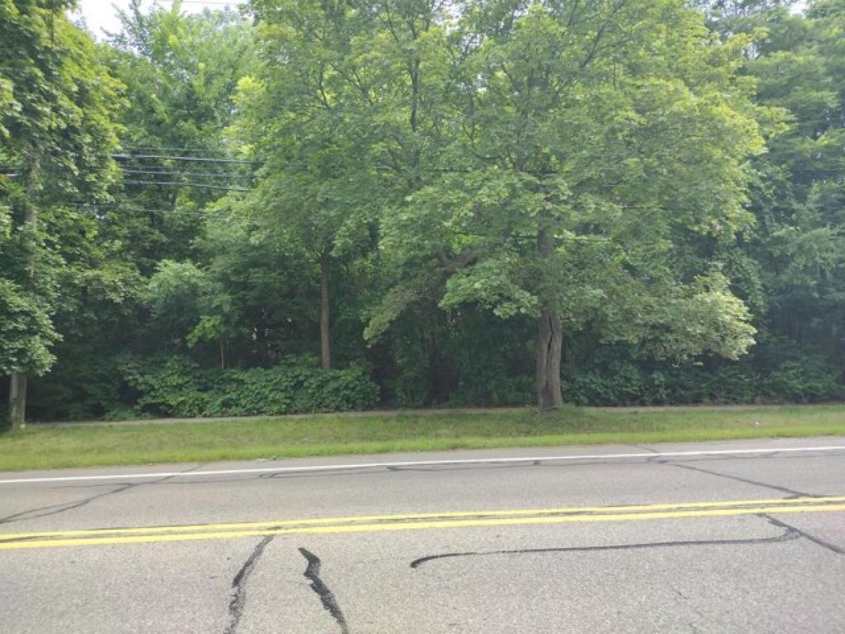 Picture of Residential Land For Sale in Plymouth, Michigan, United States