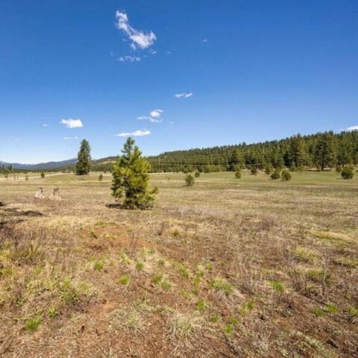 Picture of Residential Land For Sale in McCall, Idaho, United States