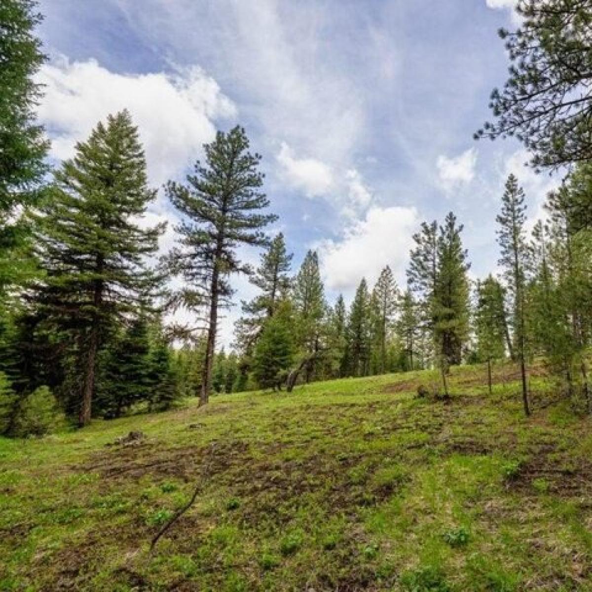 Picture of Residential Land For Sale in McCall, Idaho, United States