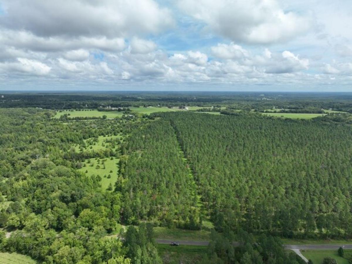 Picture of Residential Land For Sale in Calhoun Falls, South Carolina, United States