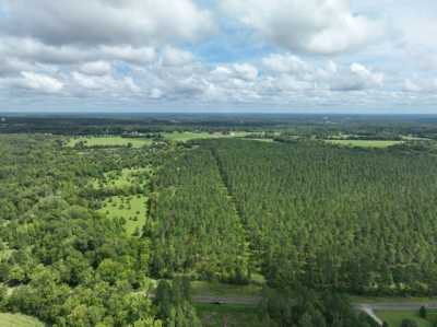 Residential Land For Sale in Calhoun Falls, South Carolina