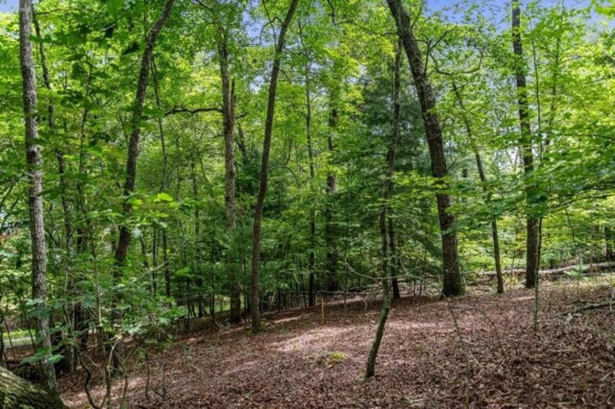 Picture of Residential Land For Sale in Mineral Bluff, Georgia, United States