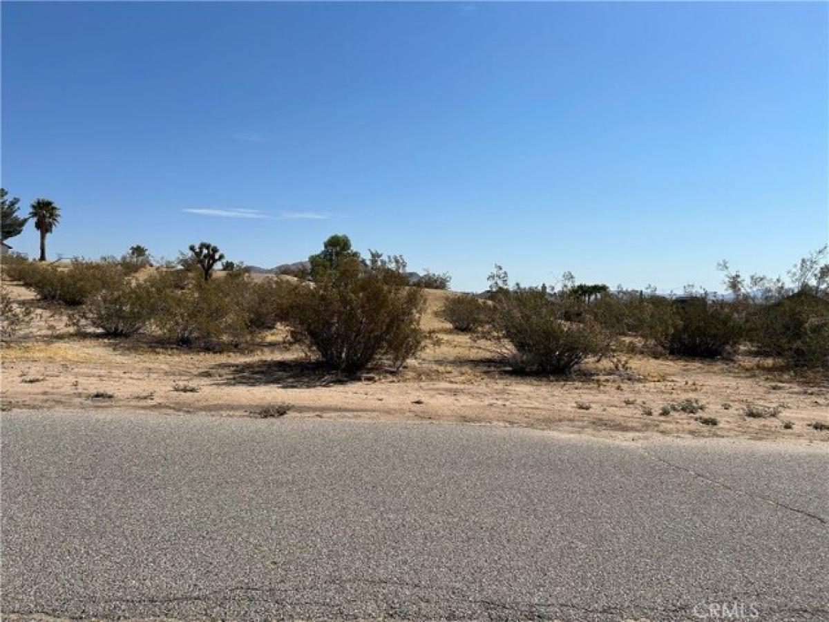 Picture of Residential Land For Sale in Victorville, California, United States