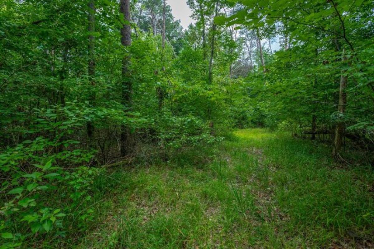 Picture of Residential Land For Sale in Chickamauga, Georgia, United States