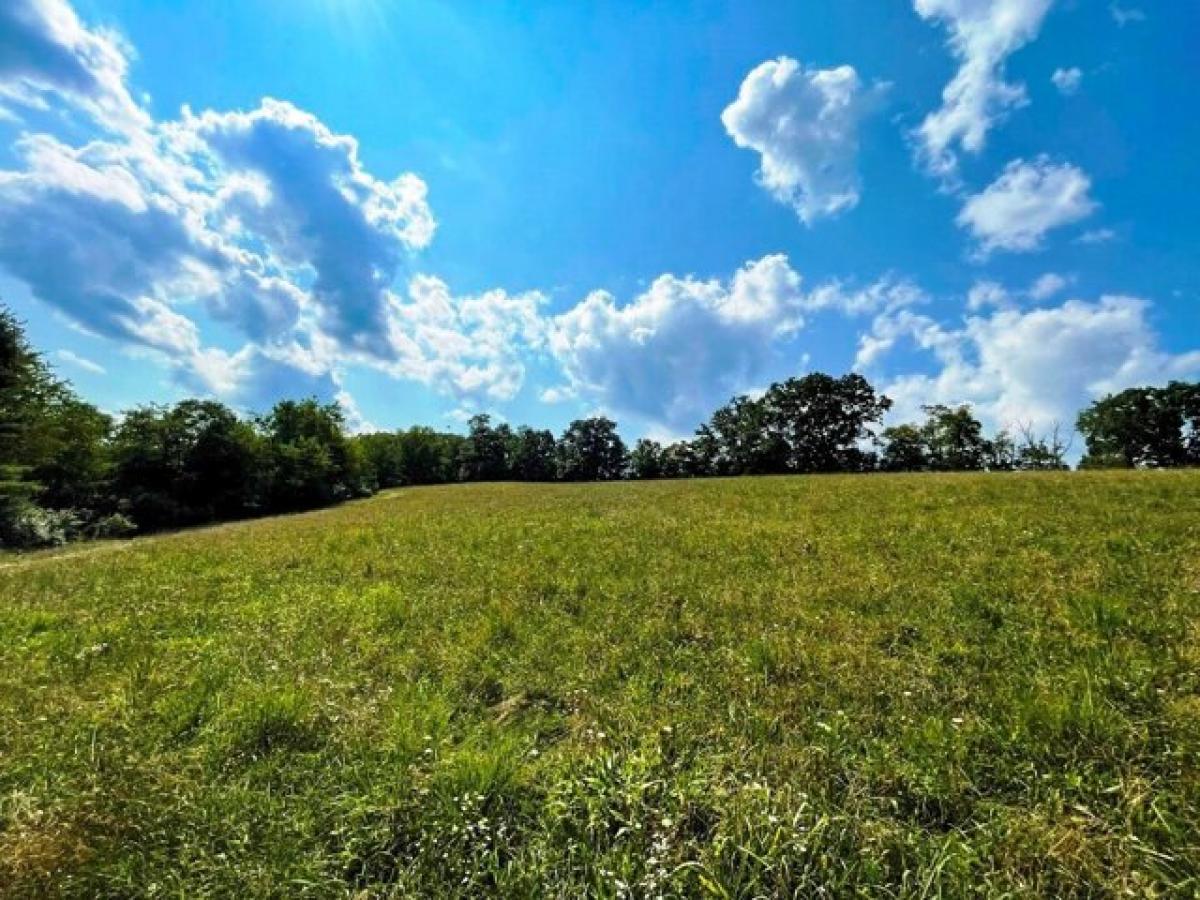 Picture of Residential Land For Sale in Dublin, Virginia, United States