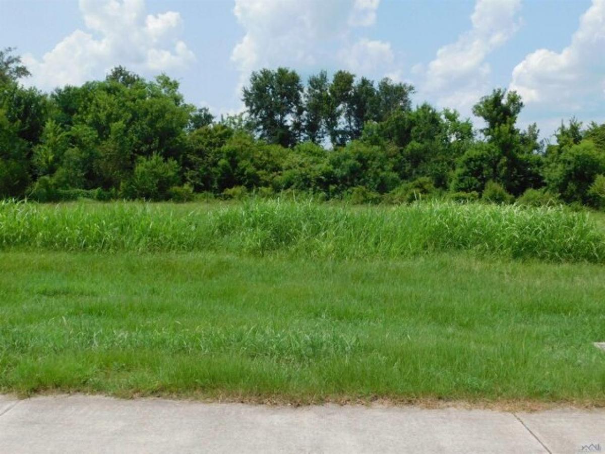 Picture of Residential Land For Sale in Cut Off, Louisiana, United States