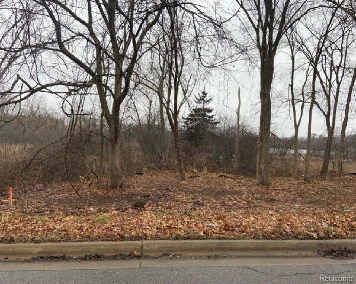 Picture of Residential Land For Sale in Walled Lake, Michigan, United States