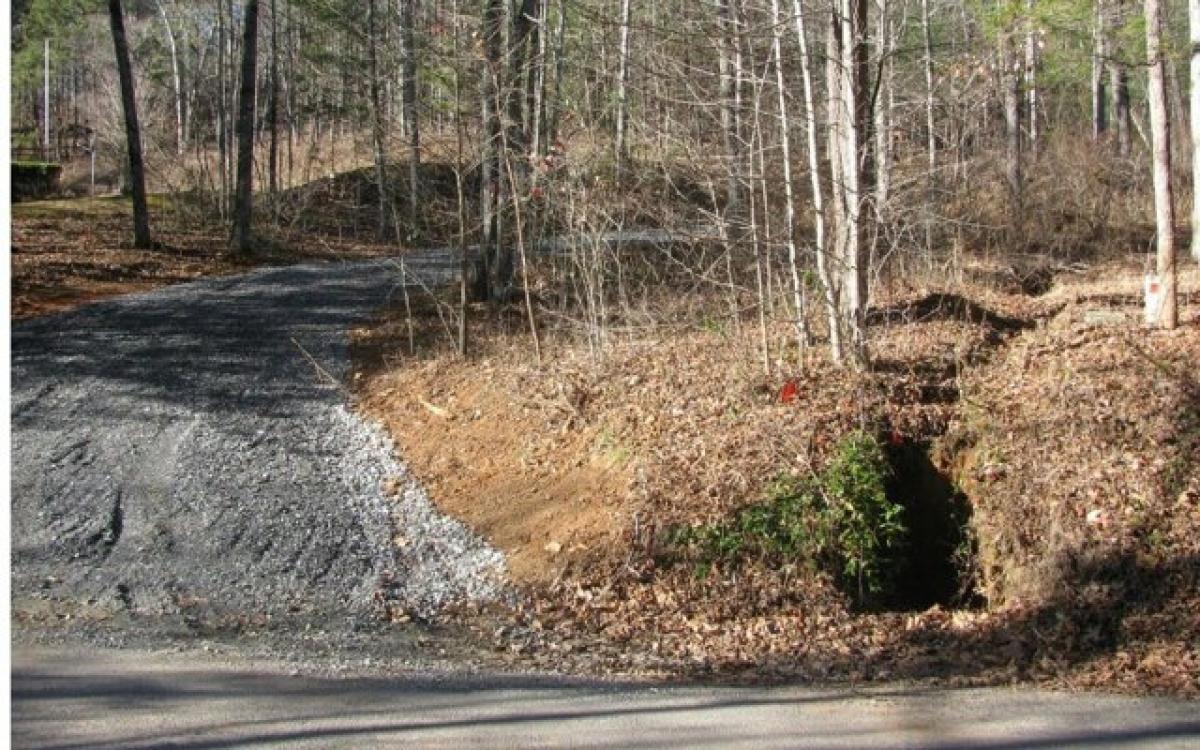 Picture of Residential Land For Sale in Young Harris, Georgia, United States