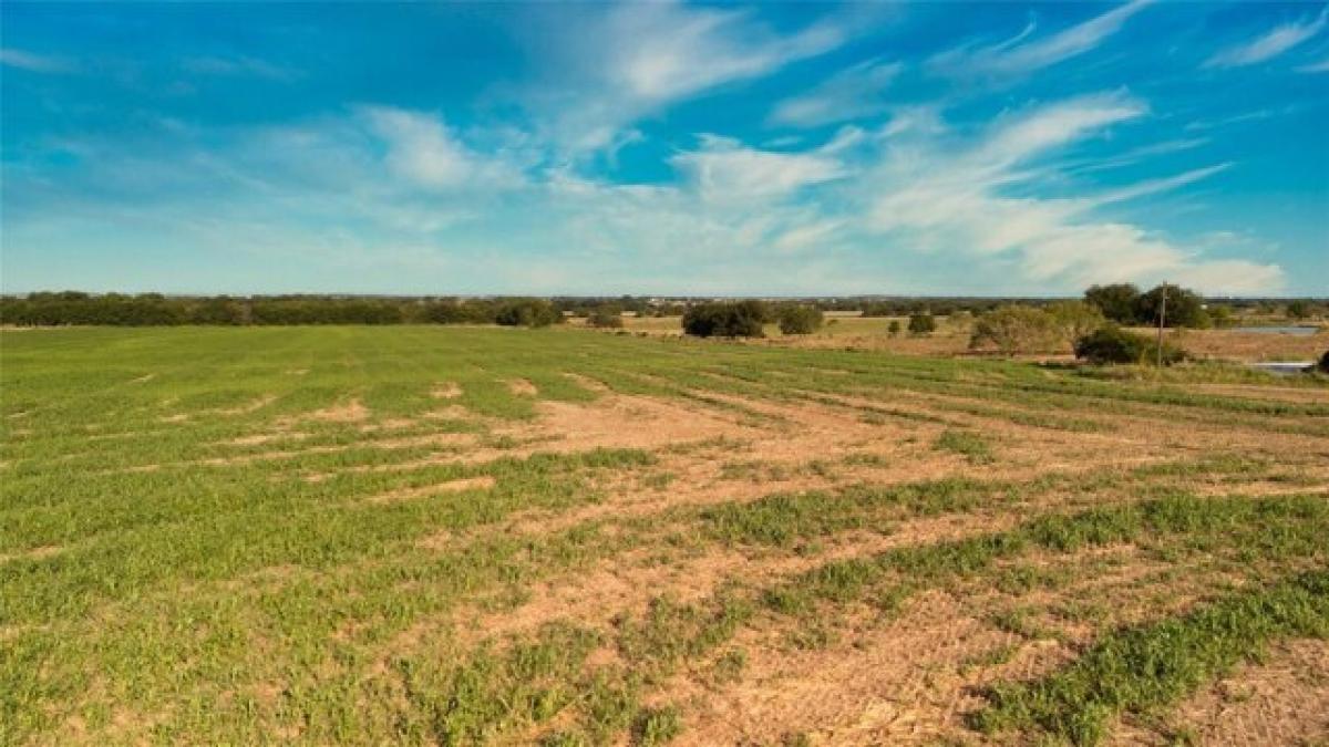 Picture of Residential Land For Sale in Gainesville, Texas, United States