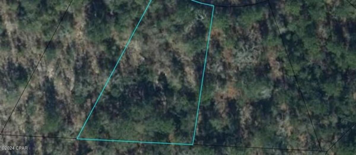 Picture of Residential Land For Rent in Chipley, Florida, United States