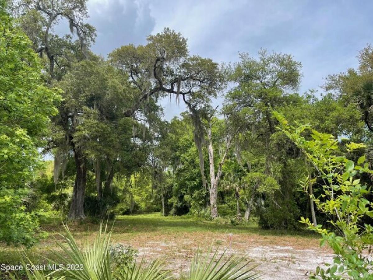 Picture of Residential Land For Sale in Mims, Florida, United States