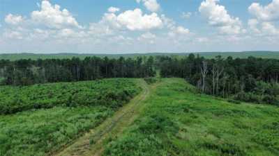 Residential Land For Sale in Timpson, Texas