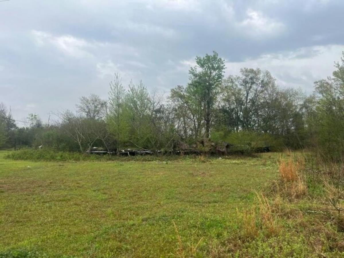 Picture of Residential Land For Rent in Donalsonville, Georgia, United States