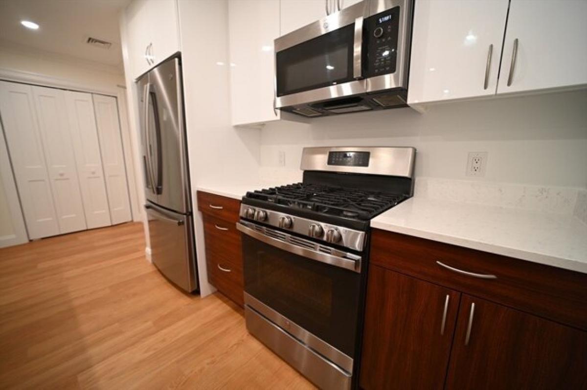 Picture of Apartment For Rent in Brookline, Massachusetts, United States