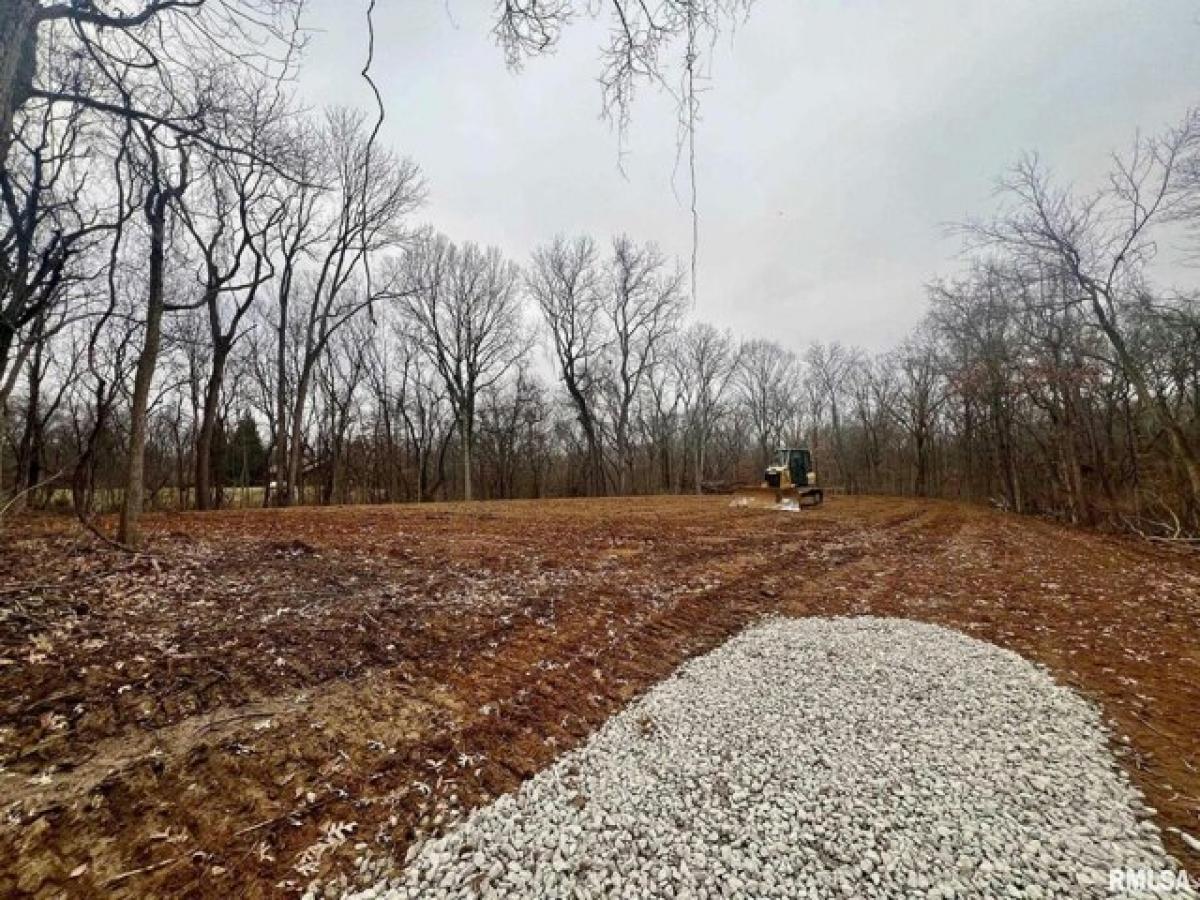 Picture of Residential Land For Sale in Petersburg, Illinois, United States