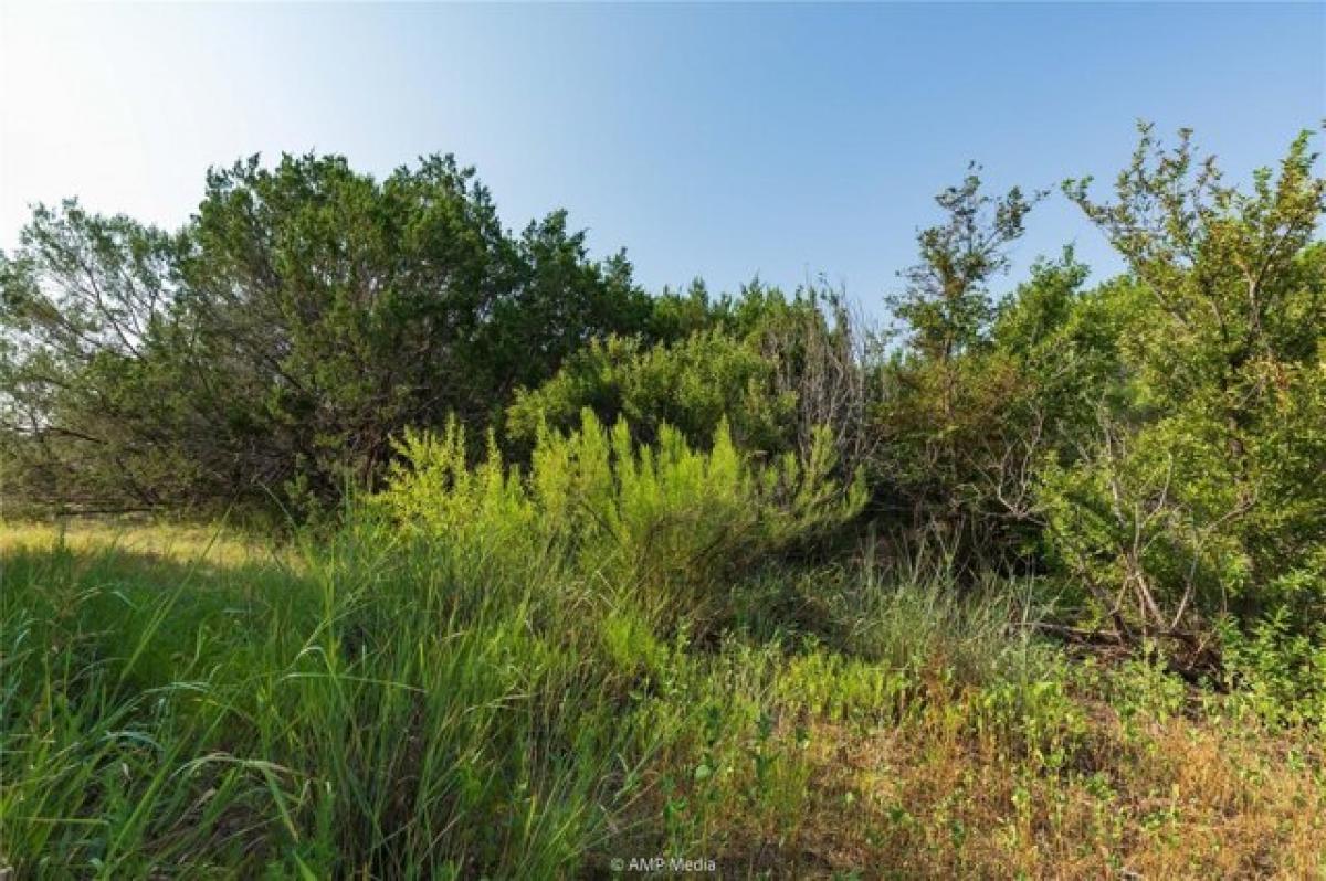 Picture of Residential Land For Sale in Ovalo, Texas, United States