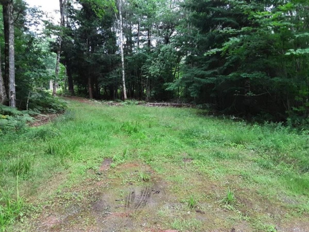 Picture of Residential Land For Sale in Whitefield, Maine, United States