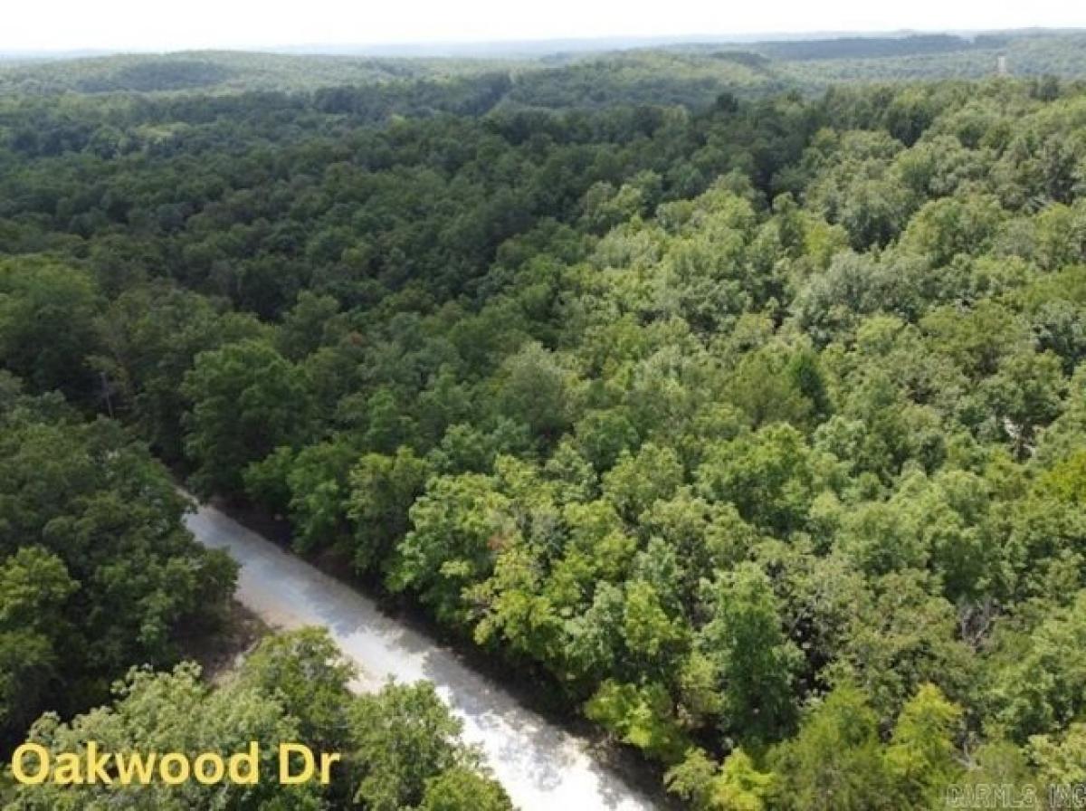 Picture of Residential Land For Sale in Horseshoe Bend, Arkansas, United States