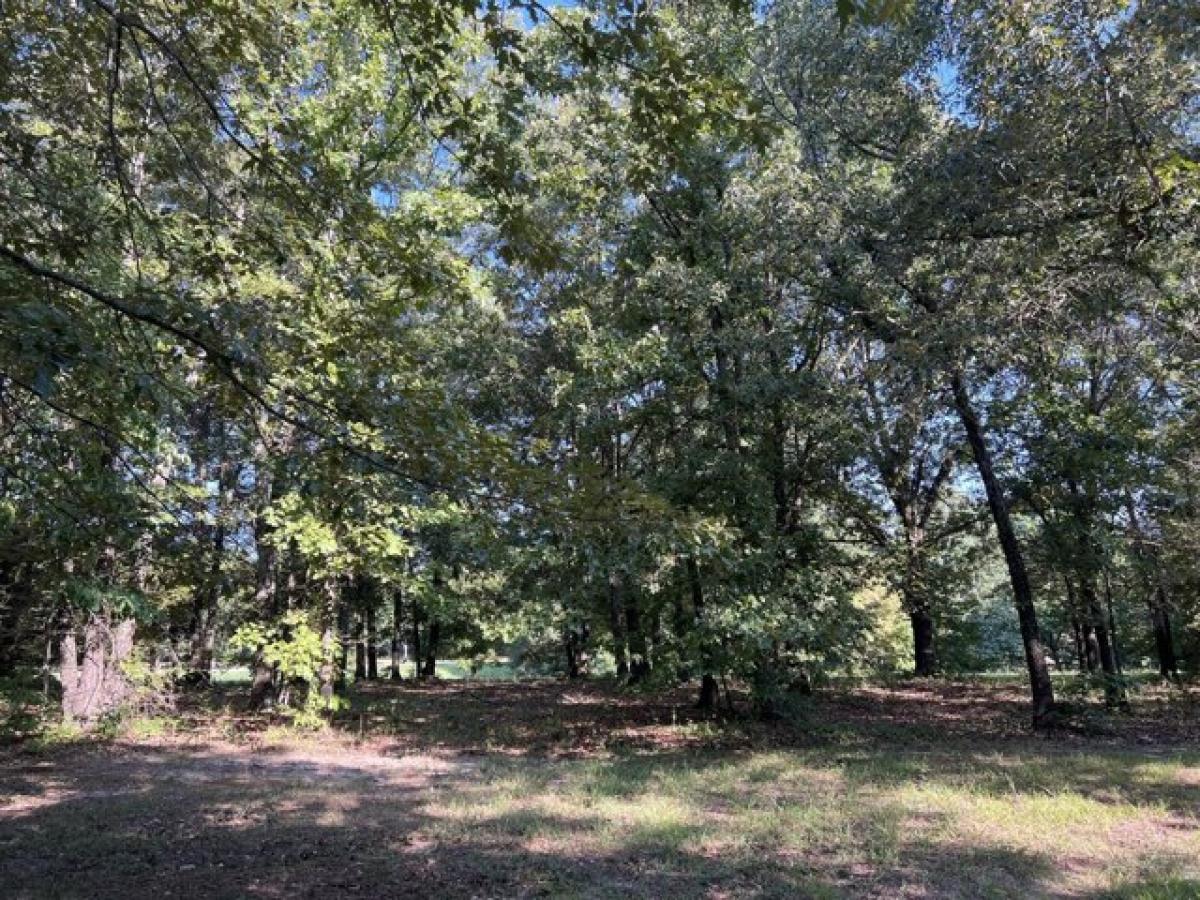 Picture of Residential Land For Sale in Harrison, Arkansas, United States