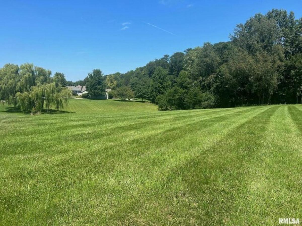 Picture of Residential Land For Sale in Petersburg, Illinois, United States