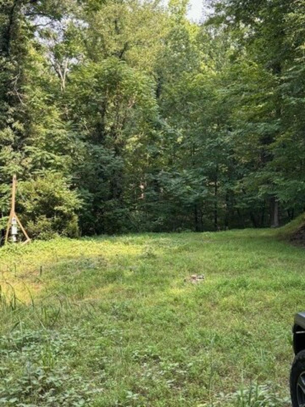 Picture of Residential Land For Sale in Hardy, Virginia, United States