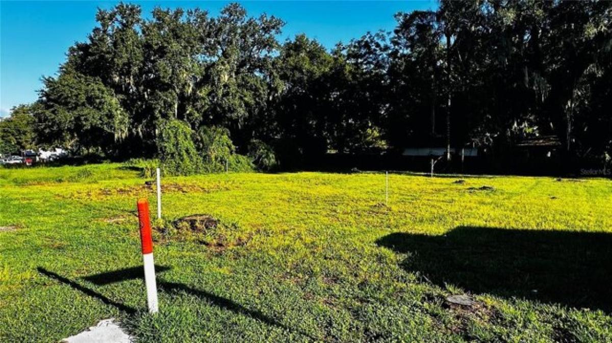 Picture of Residential Land For Sale in Mascotte, Florida, United States