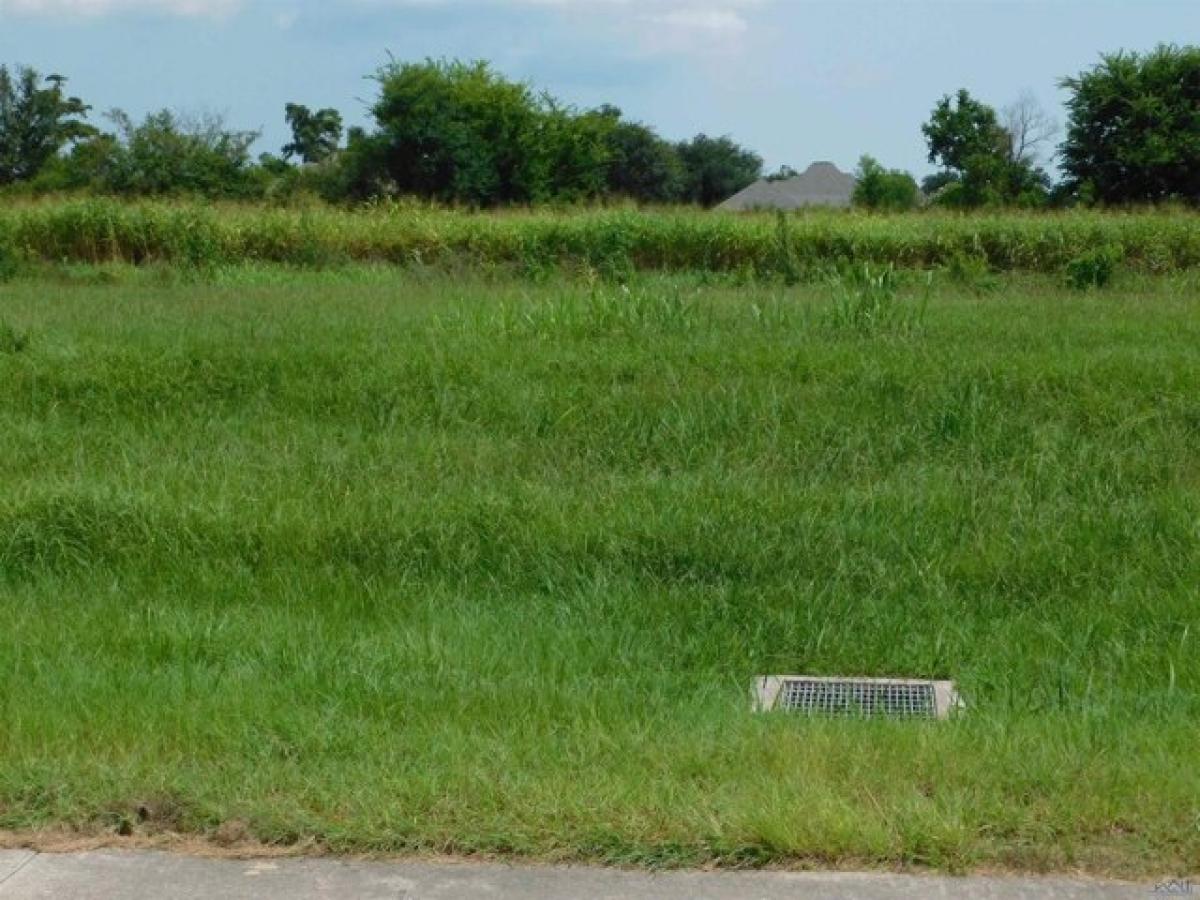 Picture of Residential Land For Sale in Cut Off, Louisiana, United States