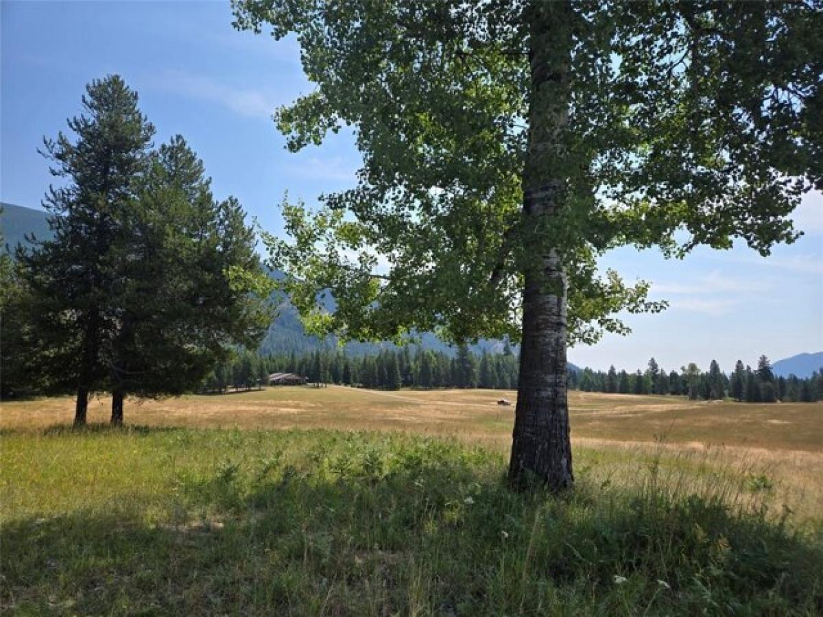 Picture of Residential Land For Sale in Trout Creek, Montana, United States