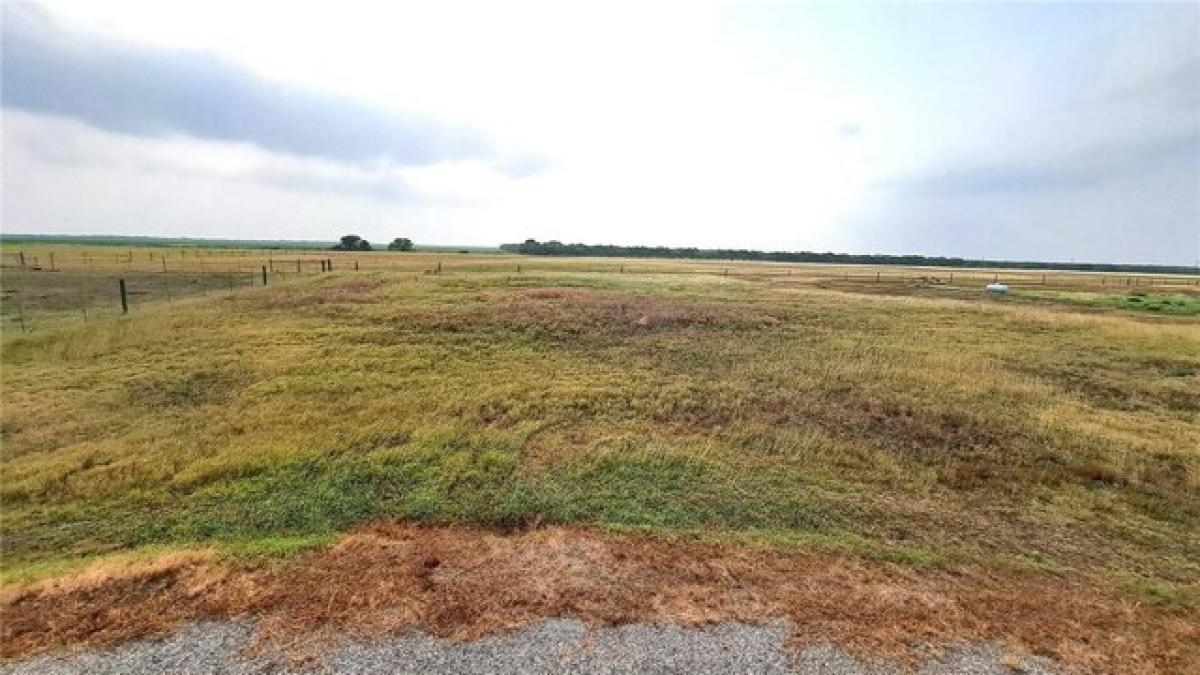 Picture of Residential Land For Sale in Kingsville, Texas, United States