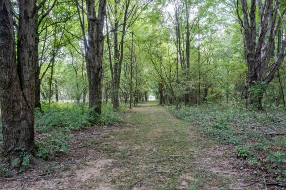 Picture of Home For Sale in New Albany, Ohio, United States