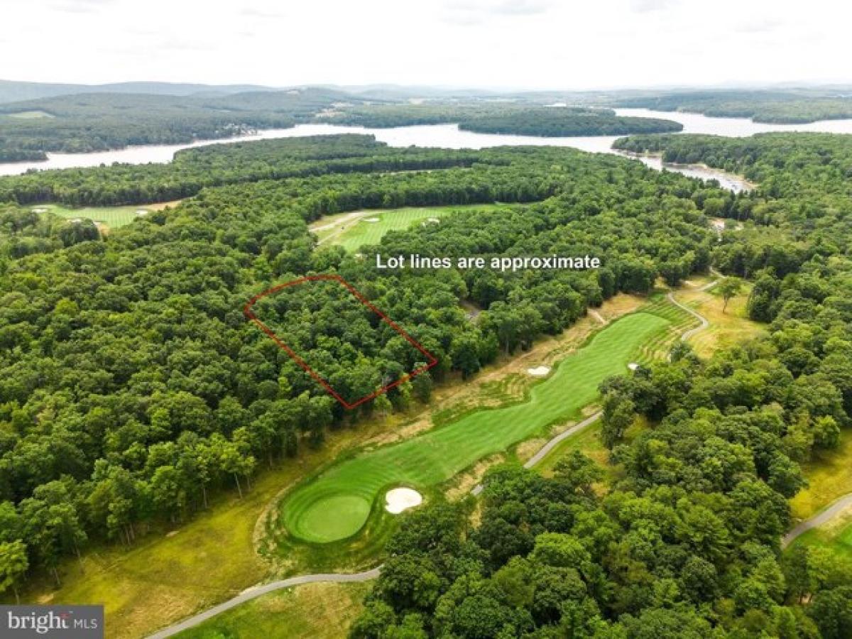 Picture of Residential Land For Sale in Swanton, Maryland, United States