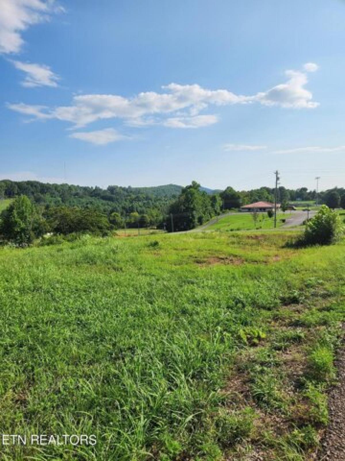 Picture of Residential Land For Sale in Tellico Plains, Tennessee, United States