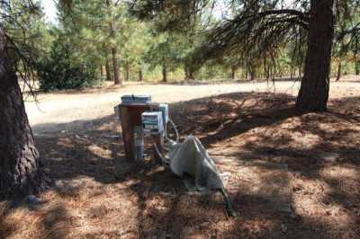 Residential Land For Sale in Coulterville, California