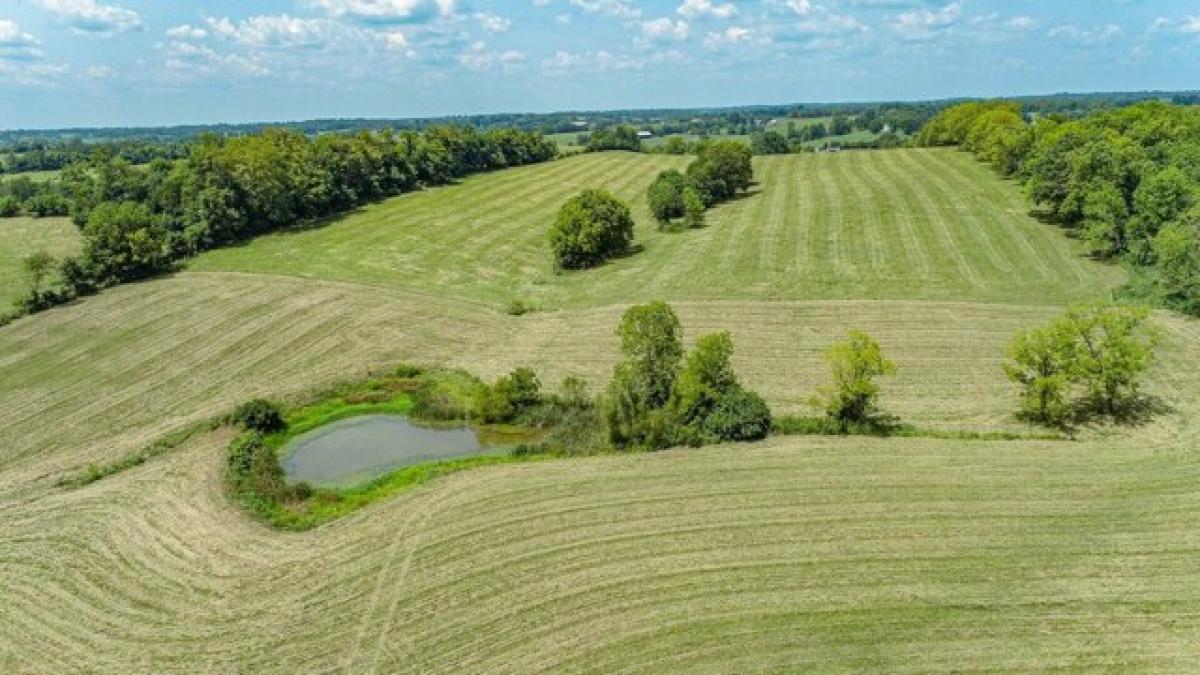 Picture of Residential Land For Sale in Carlisle, Kentucky, United States