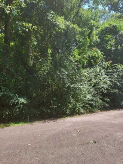 Residential Land For Sale in Carriere, Mississippi