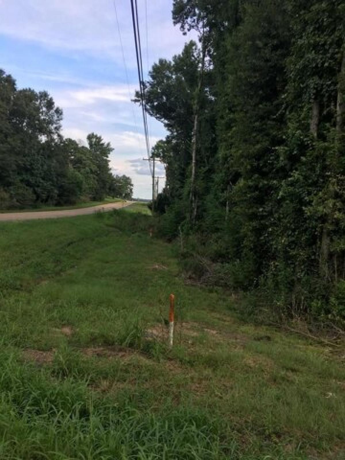 Picture of Residential Land For Sale in Magee, Mississippi, United States