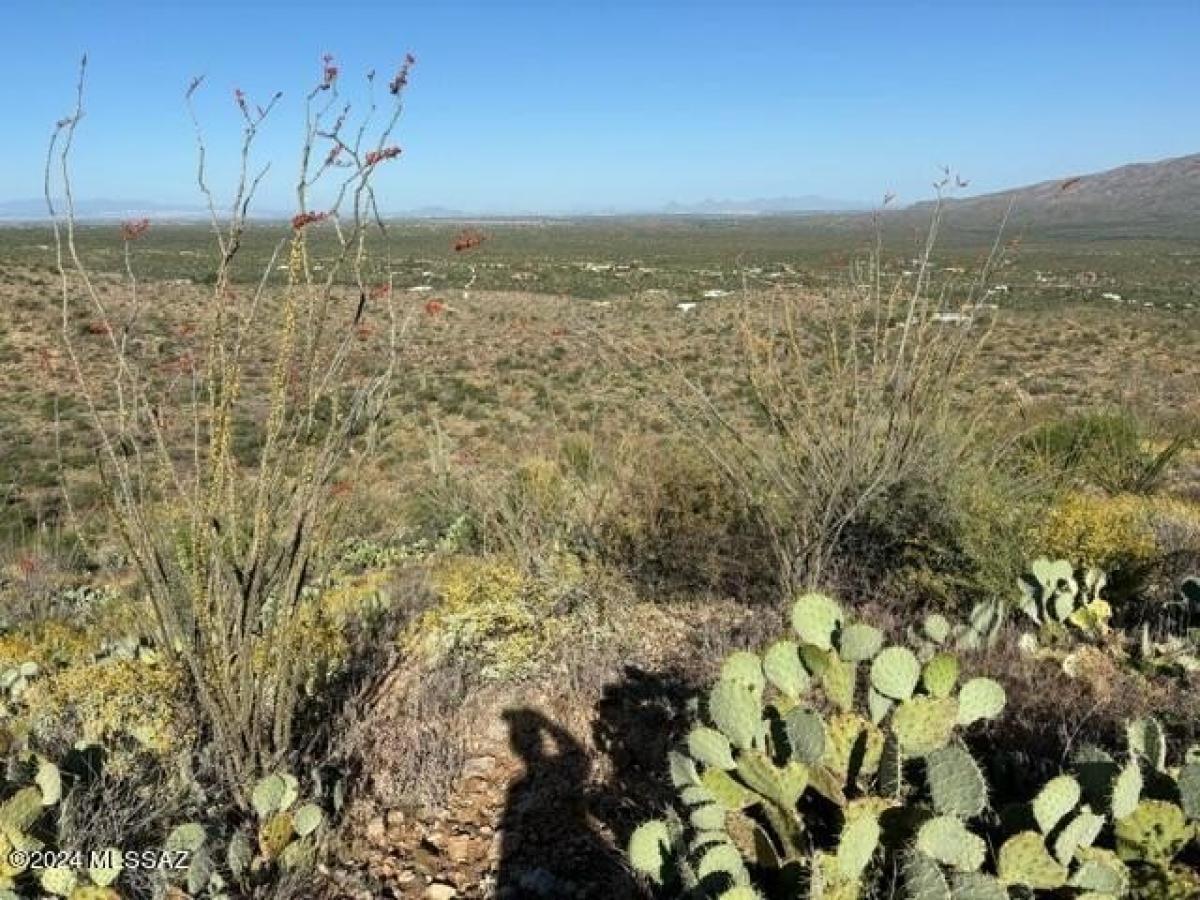 Picture of Residential Land For Sale in Vail, Arizona, United States