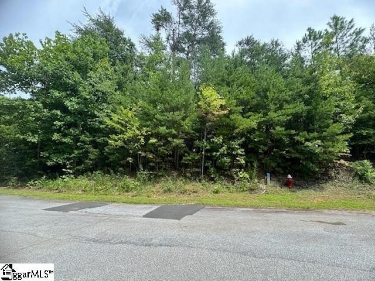 Picture of Residential Land For Sale in Salem, South Carolina, United States