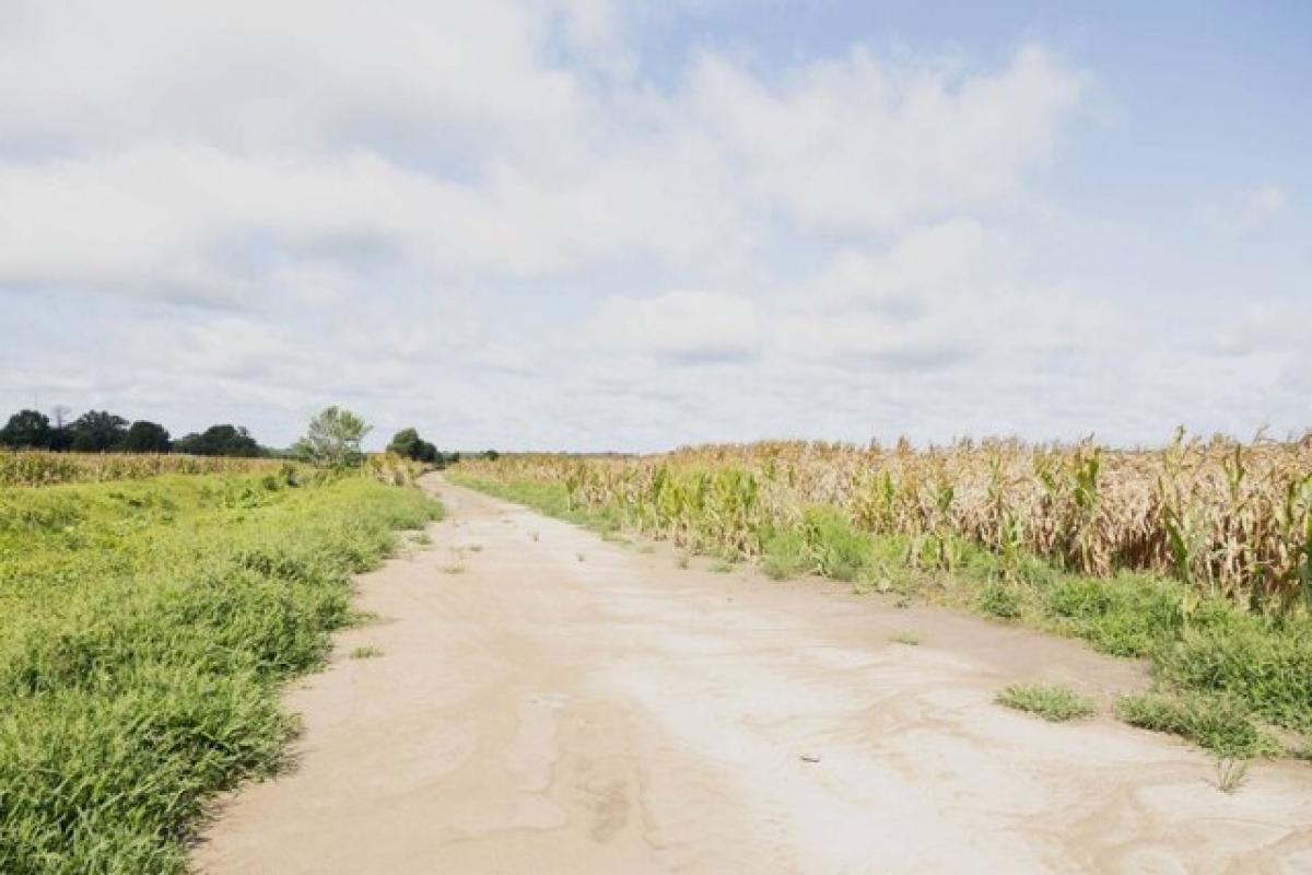 Picture of Residential Land For Sale in Winnsboro, Louisiana, United States