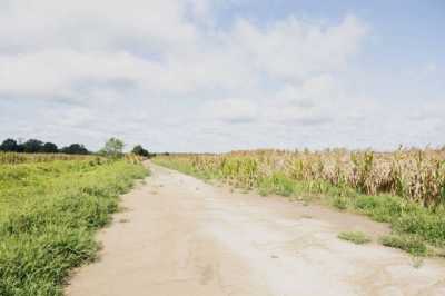 Residential Land For Sale in Winnsboro, Louisiana