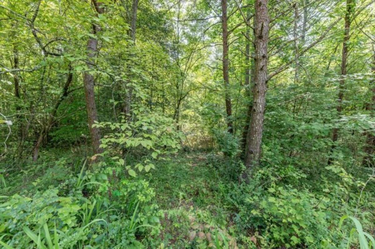 Picture of Residential Land For Sale in Hiawassee, Georgia, United States