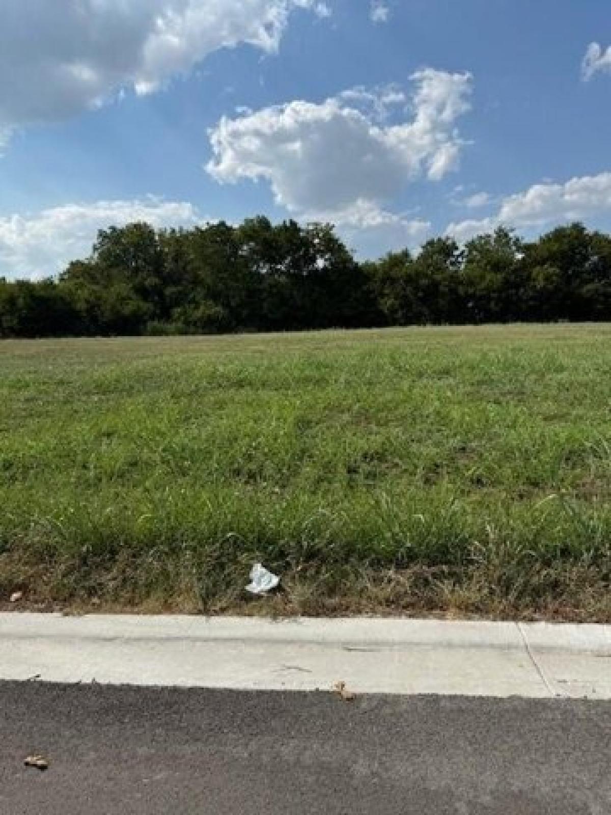 Picture of Residential Land For Sale in West, Texas, United States