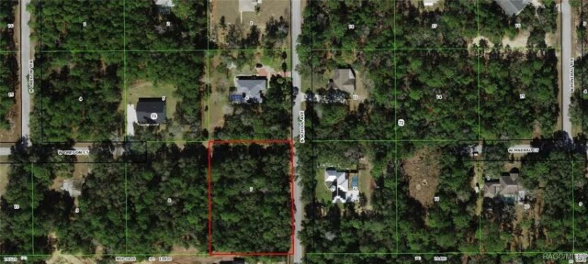 Picture of Residential Land For Sale in Lecanto, Florida, United States