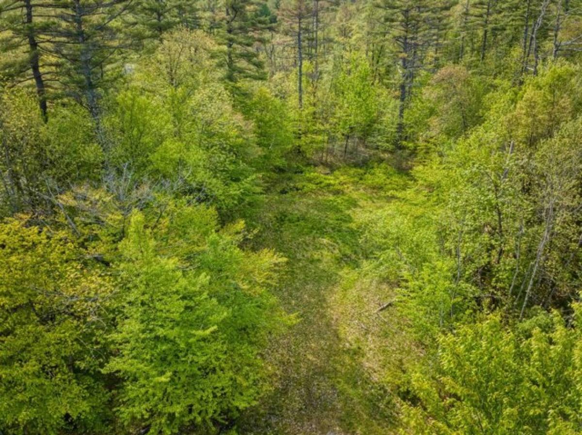 Picture of Residential Land For Sale in New London, New Hampshire, United States