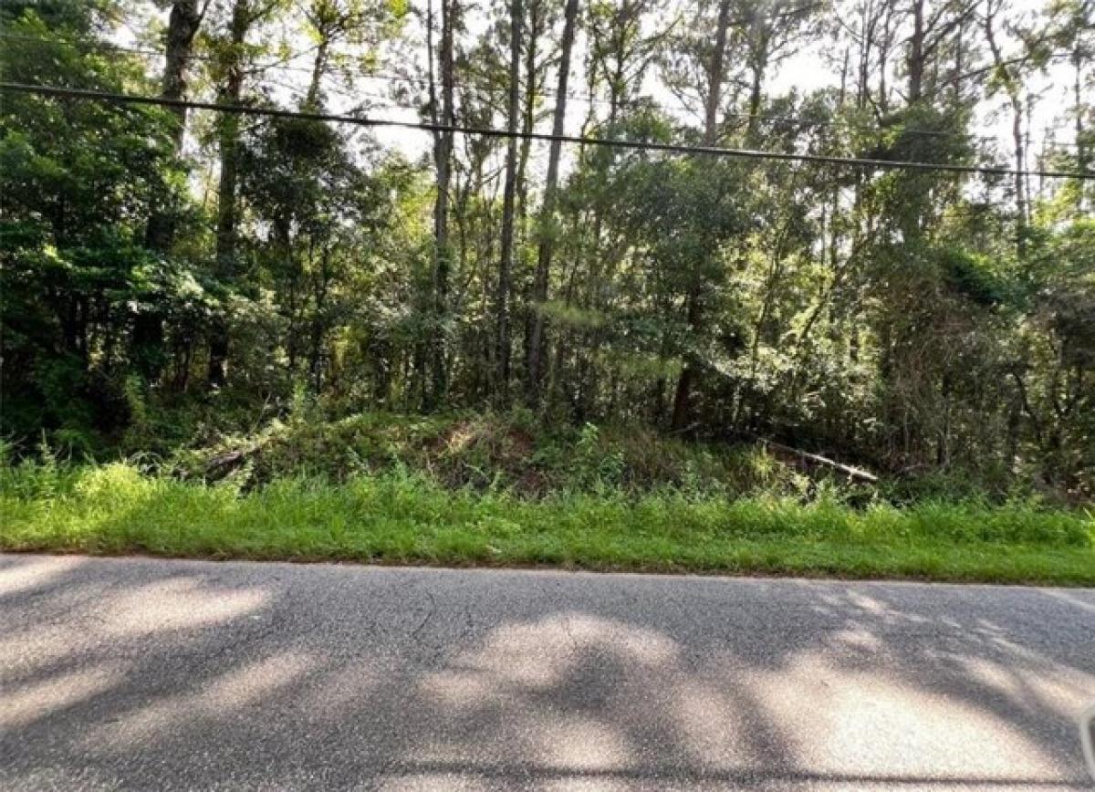 Picture of Residential Land For Sale in Prichard, Alabama, United States